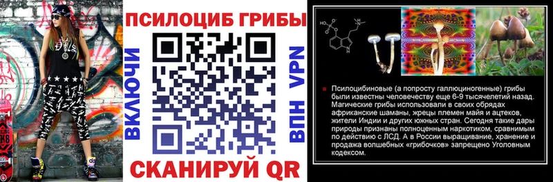 Псилоцибиновые грибы Cubensis  Губаха 