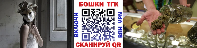 Канабис планчик Губаха